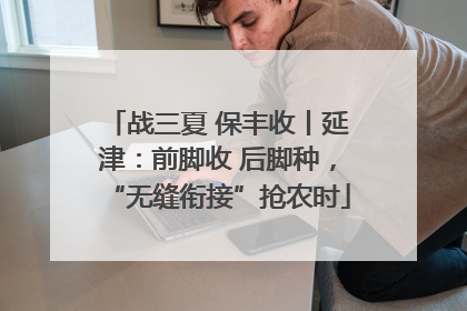 战三夏 保丰收丨延津：前脚收 后脚种，“无缝衔接”抢农时