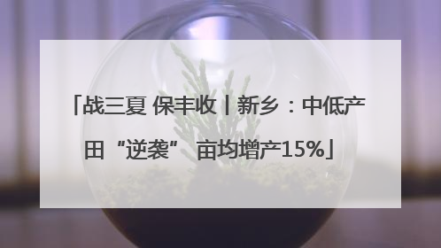 战三夏 保丰收丨新乡：中低产田“逆袭” 亩均增产15%