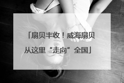 扇贝丰收！威海扇贝从这里“走向”全国