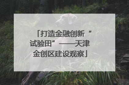 打造金融创新“试验田”——天津金创区建设观察