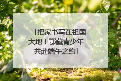 把家书写在祖国大地！鄂藏青少年共赴端午之约