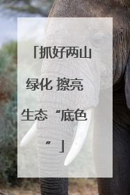 抓好两山绿化 擦亮生态“底色”