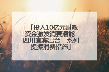 投入10亿元财政资金激发消费潜能 四川宜宾出台一系列提振消费措施