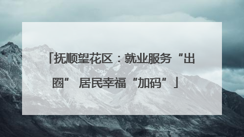 抚顺望花区：就业服务“出圈” 居民幸福“加码”