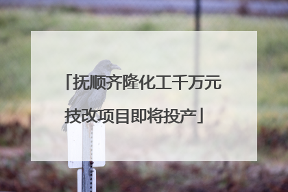 抚顺齐隆化工千万元技改项目即将投产