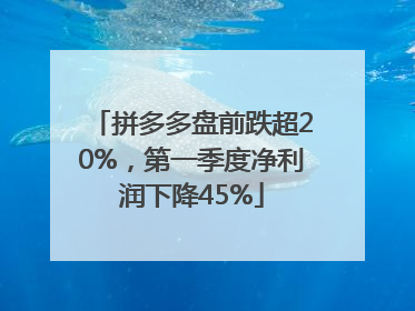 拼多多盘前跌超20%，第一季度净利润下降45%