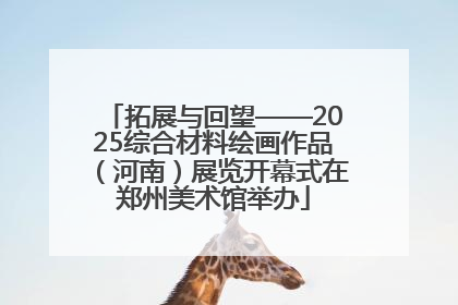 拓展与回望——2025综合材料绘画作品（河南）展览开幕式在郑州美术馆举办