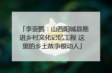 李亚鹤：山西阳城县推进乡村文化记忆工程 这里的乡土故事很动人