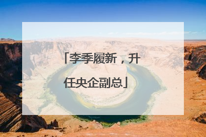 李季履新，升任央企副总