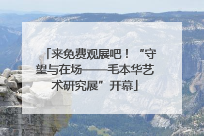 来免费观展吧！“守望与在场——毛本华艺术研究展”开幕