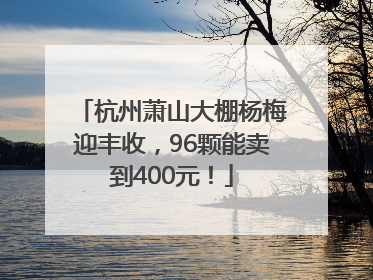 杭州萧山大棚杨梅迎丰收，96颗能卖到400元！