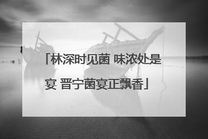 林深时见菌 味浓处是宴 晋宁菌宴正飘香