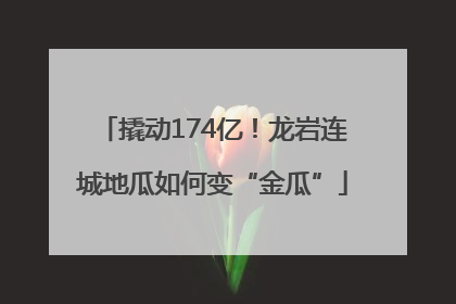 撬动174亿！龙岩连城地瓜如何变“金瓜”