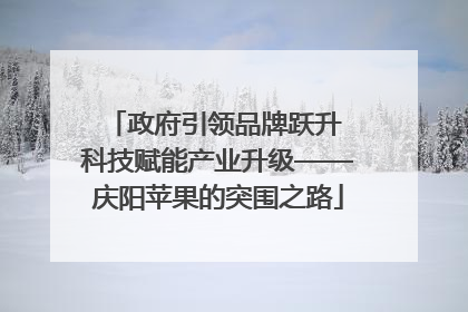 政府引领品牌跃升 科技赋能产业升级——庆阳苹果的突围之路