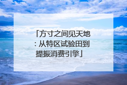 方寸之间见天地：从特区试验田到提振消费引擎