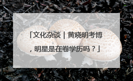 文化杂谈｜黄晓明考博，明星是在卷学历吗？