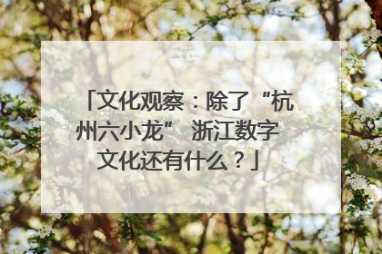 文化观察：除了“杭州六小龙” 浙江数字文化还有什么？