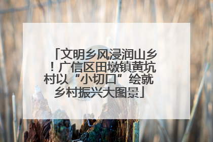 文明乡风浸润山乡！广信区田墩镇黄坑村以“小切口”绘就乡村振兴大图景