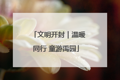 文明开封｜温暖同行 童游禹园
