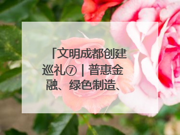 文明成都创建巡礼⑦｜普惠金融、绿色制造、公益助学展现城市文明底色
