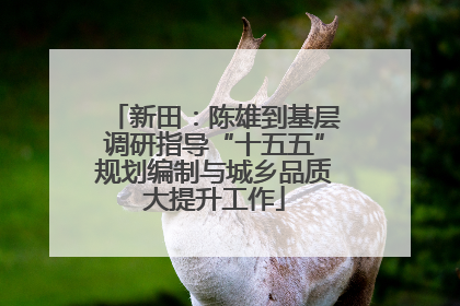 新田：陈雄到基层调研指导“十五五”规划编制与城乡品质大提升工作