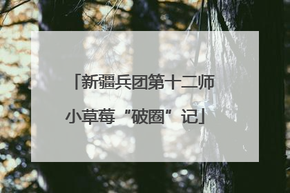 新疆兵团第十二师小草莓“破圈”记
