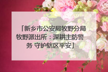 新乡市公安局牧野分局牧野派出所：深耕主防警务 守护辖区平安