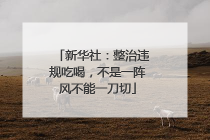 新华社：整治违规吃喝，不是一阵风不能一刀切