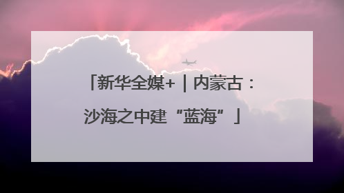 新华全媒+｜内蒙古：沙海之中建“蓝海”