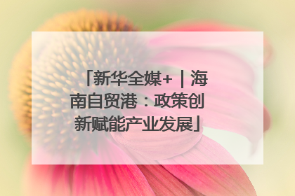 新华全媒+｜海南自贸港：政策创新赋能产业发展