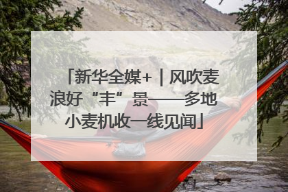 新华全媒+｜风吹麦浪好“丰”景——多地小麦机收一线见闻