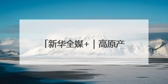 新华全媒+｜高原产品上“云”端——西藏电商发展一线观察
