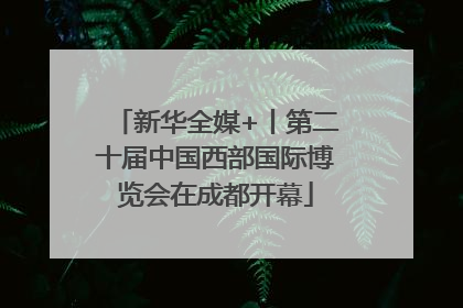 新华全媒+丨第二十届中国西部国际博览会在成都开幕