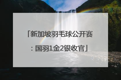 新加坡羽毛球公开赛：国羽1金2银收官