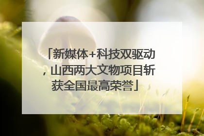 新媒体+科技双驱动，山西两大文物项目斩获全国最高荣誉