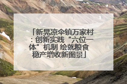 新晃凉伞镇万家村：创新实践“六位一体”机制 绘就粮食稳产增收新图景