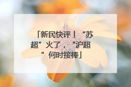 新民快评丨“苏超”火了，“沪超”何时接棒