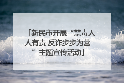 新民市开展“禁毒人人有责 反诈步步为营”主题宣传活动