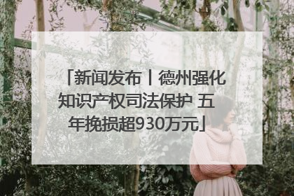 新闻发布丨德州强化知识产权司法保护 五年挽损超930万元