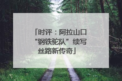 时评：阿拉山口“钢铁驼队”续写丝路新传奇
