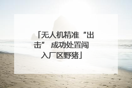 无人机精准“出击” 成功处置闯入厂区野猪