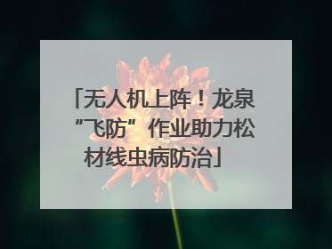 无人机上阵！龙泉“飞防”作业助力松材线虫病防治