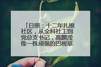 日照：十二年扎根社区，从全科社工到党总支书记，高麒滢像一株顽强的巴根草，把根深深扎进基层的土壤——“巴根草书记”的夏日叙事