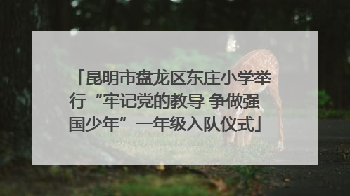 昆明市盘龙区东庄小学举行“牢记党的教导 争做强国少年”一年级入队仪式