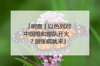 明查｜以色列对中国维和部队开火？别张嘴就来