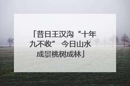 昔日王汉沟“十年九不收” 今日山水成景桃树成林