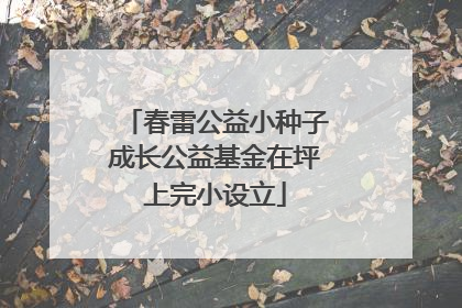 春雷公益小种子成长公益基金在坪上完小设立