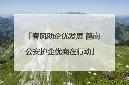 春风助企优发展 鹤岗公安护企优商在行动