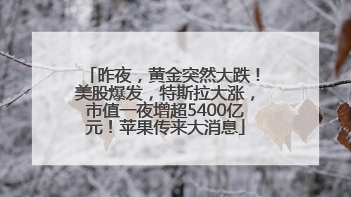 昨夜，黄金突然大跌！美股爆发，特斯拉大涨，市值一夜增超5400亿元！苹果传来大消息