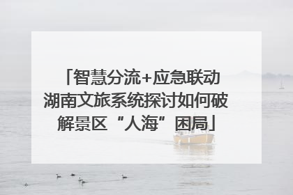 智慧分流+应急联动 湖南文旅系统探讨如何破解景区“人海”困局